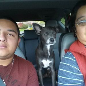 Meet your Posher, Rosa